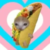 🌈😺Gatito Glotón✨ 20