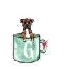 perritos amorosos  mov 30