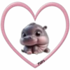 Hipopótamo Cute ✺1🇻🇪Mov 29