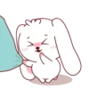 Bunny & Bear 5