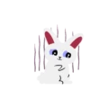 Lovely Rabbit 8