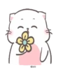 Baby Cat 6