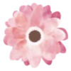 Flowers 1 💖 MOV 5
