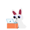 Lovely Rabbit 10