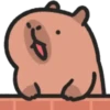 Capybara 2 🔴🔴 mov 7