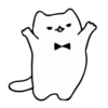 WHITE FLUFFY CAT MOV. 5