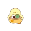 Pollito tierno Mov. 9