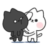 Casal de gatinhos 5