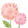 Flowers 2 💖 MOV 5
