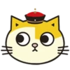 Fumean Cats 1 😺💖 MOV 9