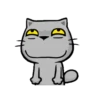 MEOW 4 mov. 9
