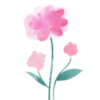 Flowers 2 💖 MOV 6