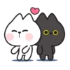 Casal de gatinhos 9