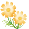 Flowers 2 💖 MOV 7