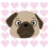 I LOVE   PUG    2  (MOV) 5