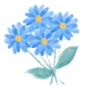 Flowers 2 💖 MOV 8