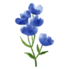 Flowers 1 💖 MOV 8