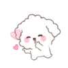 🐶🤍Bunny Poodle MOV.🤍🐶 8