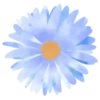 Flowers 1 💖 MOV 9