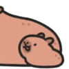 Capybara 🔴🔴 mov 7