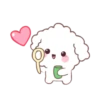 🐶🤍Bunny Poodle MOV.🤍🐶 10