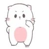 Baby Cat 13