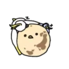 Halloween bird 12