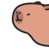 Capybara 🔴🔴 mov 8