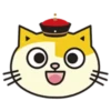 Fumean Cats 1 😺💖 MOV 11