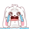 Bunny & Bear 17