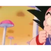 koki 5 Dragón ball 1 9
