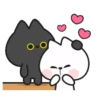 Casal de gatinhos 11