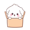 🐶🤍Bunny Poodle MOV.🤍🐶 14