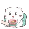 Baby Cat 14