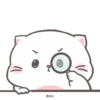 Baby Cat 15
