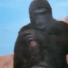 Vs Crushzilla Vs King Kong vs 12