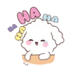 🐶🤍Bunny Poodle MOV.🤍🐶 16
