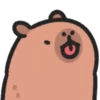 Capybara 🔴🔴 mov 13