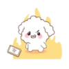 🐶🤍Bunny Poodle MOV.🤍🐶 18