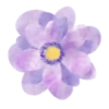 Flowers 1 💖 MOV 13