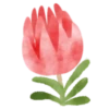 Flowers 1 💖 MOV 14