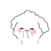 🐶🤍Bunny Poodle MOV.🤍🐶 19