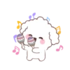 🐶🤍Bunny Poodle MOV.🤍🐶 20