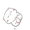 Baby Cat 17