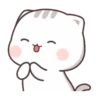 KITTEN 20
