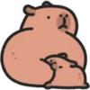 Capybara 🔴🔴 mov 14