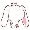 Bunny & Bear 20