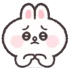 Cony 🐰 soft & 16