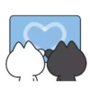 Casal de gatinhos 13