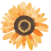 Flowers 1 💖 MOV 16
